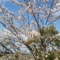 2020年4月「お惣菜の日」終了