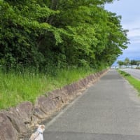 ５月２５日の散歩