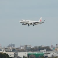 飛行機撮影（大阪・伊丹国際空港）2