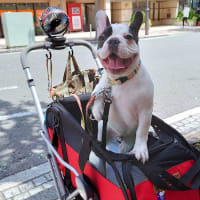 たくさん遊んで疲れました