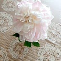 芍薬、小アヤメ、ジャーマンアイリス