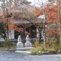 もみじの永観堂～ in 京都府京都市左京区