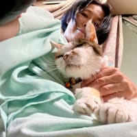 心のふるさとから帰ってきました