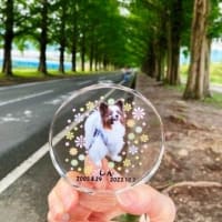 ふうたくんとレジーナ長浜(^^♪＆月命日