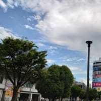 今日の博多３３５　【二度寝した日の誘惑】
