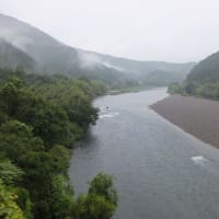 本日の海部川