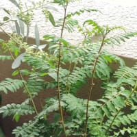 信頼を取り返すのは難しい。。。