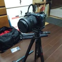ようやくアリエクから届いたもの、その2・・・・。('◇')ゞ