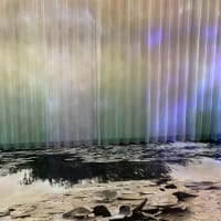 京セラ美術館「モネ睡蓮のとき」