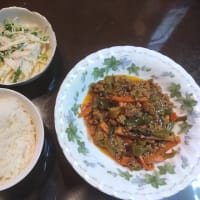 麻婆茄子と大根とツナサラダ