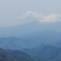 丹沢の山から富士