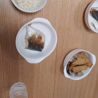 99日目