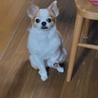 医大の皮膚科に行ってきました