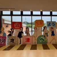 紫陽花の鉢増しを終え、オット宅へ