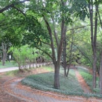 北海道-平岡公園の遺跡