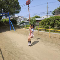 大阪狭山市のふれあいの里のリス公園のリスが少なくなりました。(-_-;)