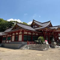 縁起でもないけど喪服を買いに•⛩️神社でお祈り•ベルベティトワイライトとタゲテスゴールドメダル