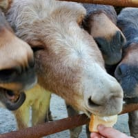ブログのお引っ越し🏡