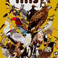 鳥展