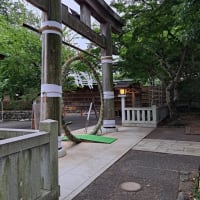 茅の輪くぐりの季節になりますね