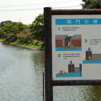 船頭平閘門と赤蓮保存田
