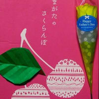 佐藤君が１６年かけて産み出したサクランボ
