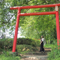 Asukaさん撮影会2025「鉢形城跡」