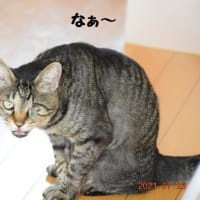 北海道の短い夏