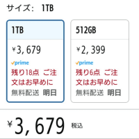 memry card 1TBのうそ
