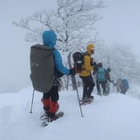 氷ノ山のモンスターに会いに