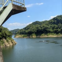 ノートルダム大聖堂の新築記念