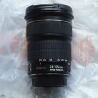 canon ef24-105 f3.5 stm購入