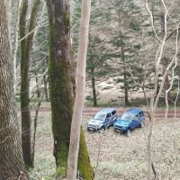 「山菜ハンター2025」vol.2