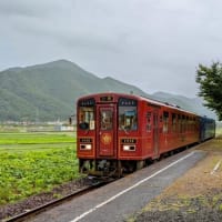 鳥取旅行 ～若桜鉄道　隼駅（隼ライダーの聖地）～