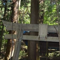 足利の文化財　粟谷の山神社