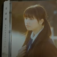 幕、未だ上がらず
