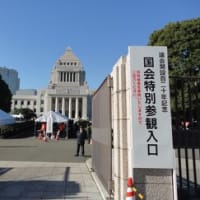 新品本物 02bf8cfcaff00bafdd69e085ae391e 政治学