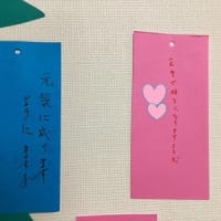 短冊に願い込めて✨