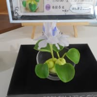 今日は２ｈジョグ　2025山陰の春ジョグ２２