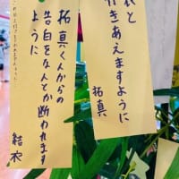 表裏