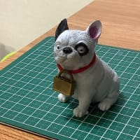 コロナ禍のコイルの日