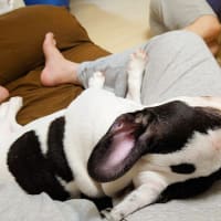 当時は発熱すると大変でした