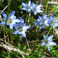 ６月　行くぜ！その２