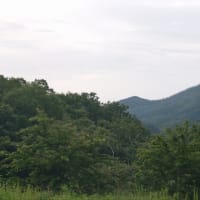 今朝の日の出🌄