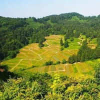 新潟県・十日町市の「慶地の棚田」