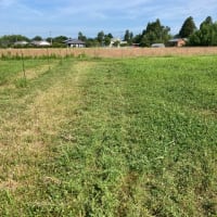 山羊牧場〜あれ？こゆきどうした？