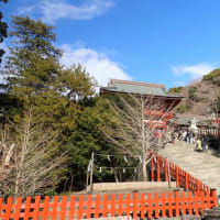 一宮巡り　相模国鎮座　鶴岡八幡宮　202501