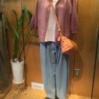シースルーブラウス
