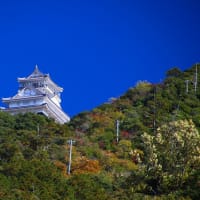 岐阜公園で菊人形。。。