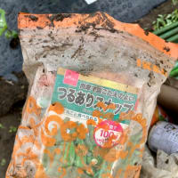 曇りの予報じゃなかったの！？
